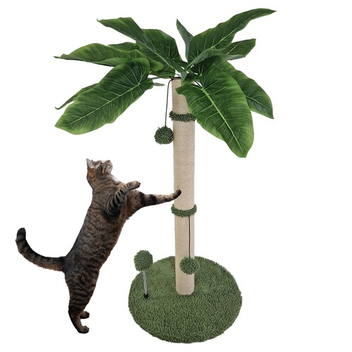 Kratzbaum palme oder kaktus - palme,