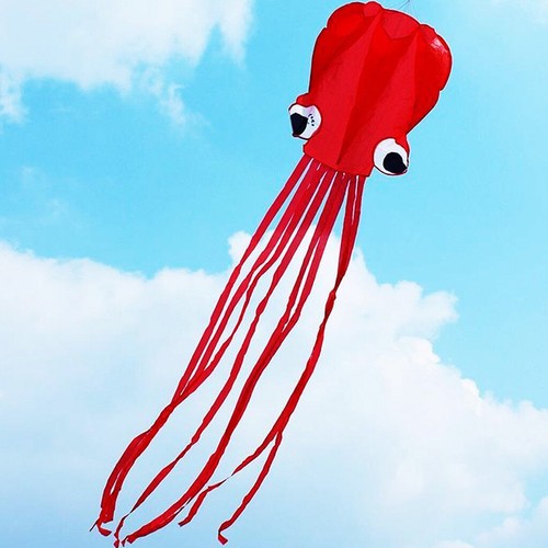 Octopus einleiner - 4m,