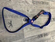 Antiziehgeschirr Ezy Dog. Golden Retriever Größe