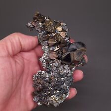 💎Video🌈Top Kabinettstufe Sphalerit Chalkopyrit San Martin Zacatecas Mexiko