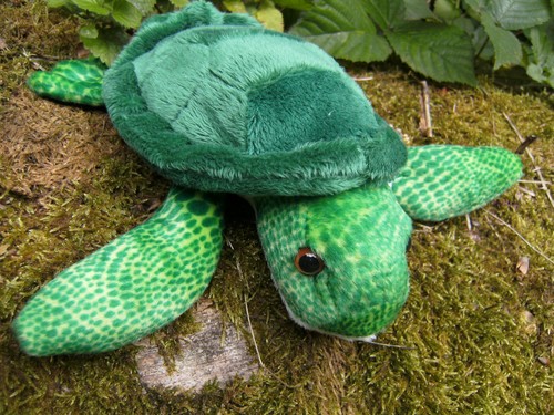 Plüschtier wasserschildkröte - plüschtier,