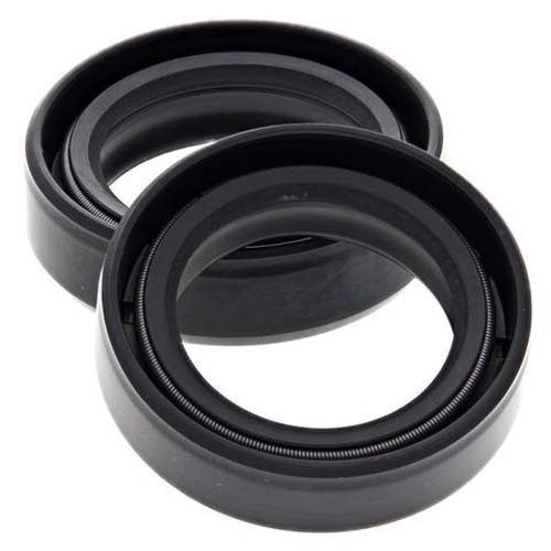 Simmerringsatz gabel 100 - simmerringsatz, 55-100