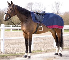 Nierendecke Equitheme TYREX 1200D Equi-Theme wasserdicht Fleecefütterung 030143