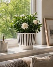 Blumentöpfe weiß schwarz - 6x, weiß/schwarz