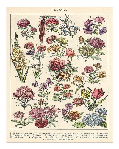 Vintage blumen poster wandbild - blumen,