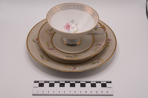 Vintage winterling - vintage,