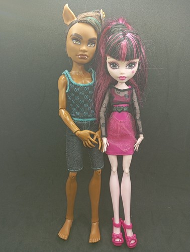 Monster high festival - high,