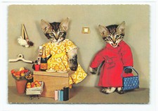 Katzen beim einkaufen - ak,