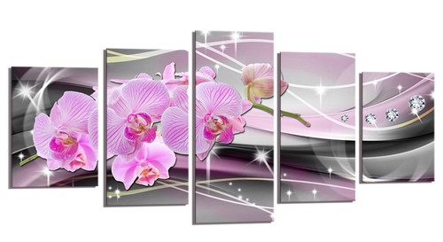 Bild tlg orchidee pink - bild,