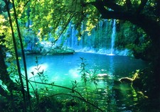 Natur Wasserfall Wald Baum