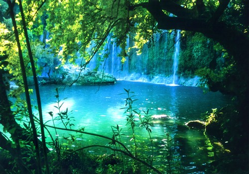 Natur wasserfall wald - wasserfall, baum