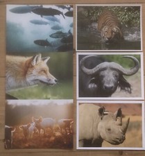 6 Karten Postkarten mit Tiermotiven, 3x WWF + 3x PeTA