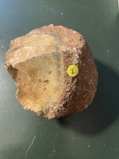 Steinzeit Werkzeug Schaber