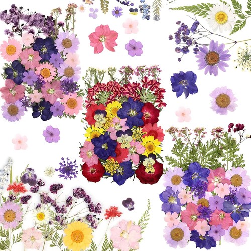 125 stück getrocknete blumen - 125,