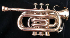 Taschentrompete Profimodell kompakte Größe kleinste Trompete Jazz Instrument