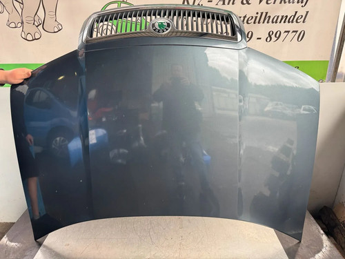 Motorhaube skoda fabia grau - fabia, 6y