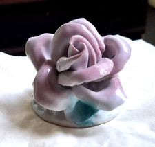 porzellanrose dekorativ wie