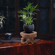 Holzstein-Display-Basis Home