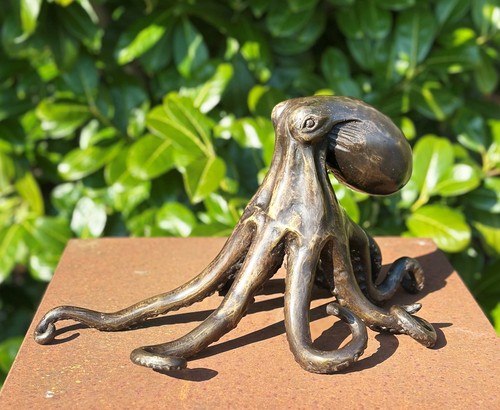 Bronzefigur oktopus 5x36cm - oktopus, 20,5x36cm
