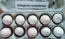 10  ausgeblasene Eier, 1