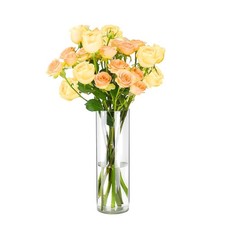 Vase unzerbrechliche - vase,