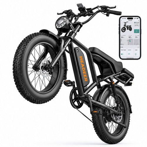 Elektrofahrrad 250w 960wh - elektrofahrrad,