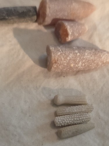 Fossilien seeigelstacheln - seeigelstacheln, u