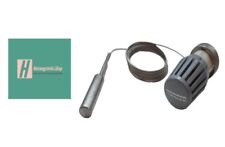 Braukmann Thermostatkopf