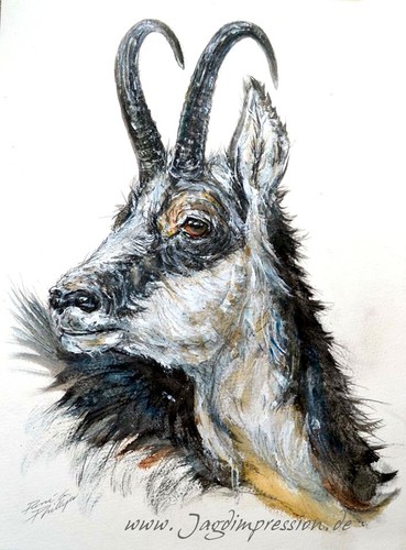 Jagdhund jagdmaler jagd - jagdhund,