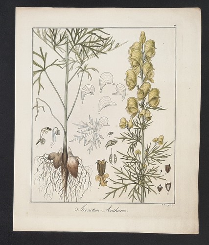 Kupferstich 1835 text - 1835, +