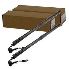 2x NTY ELEKTRISCHE HECKKLAPPEN