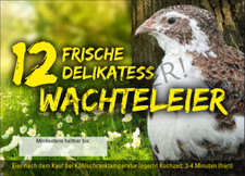Rechteckige Etiketten 12er
