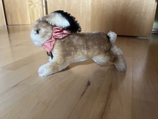 Steif Hase alt unbespielt mit