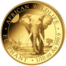 Goldmünze Elefant African Wildlife 2025 - Somalia - Anlagemünze - 1/10 Oz ST