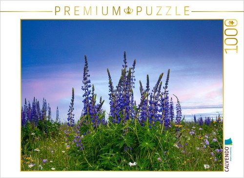 Calvendo puzzle lupinen - lupinen, |