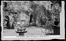 Vintage Foto Glasplatte