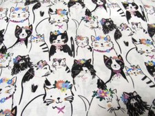 Katzen schwarz weiß   Katze