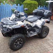 Quad Stels 650 ccm Zwei Zylinder