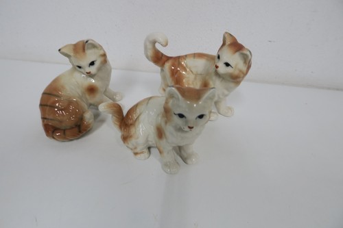 Aus nachlass 3 katzen - nachlass,