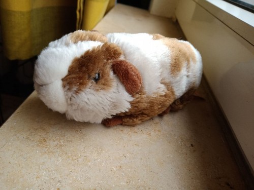 Meerschweinchen plüsch teddy - meerschweinchen,