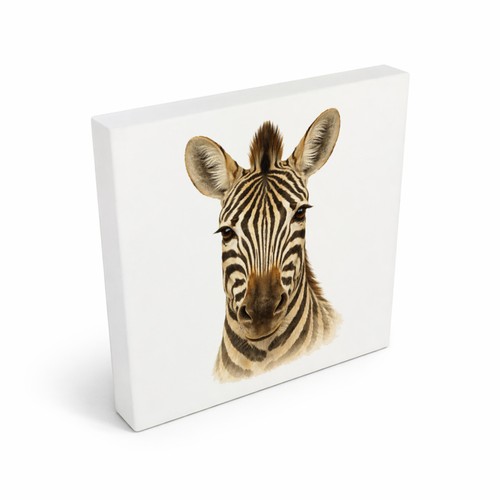 Tierische eleganz zebrakopf - tierische,