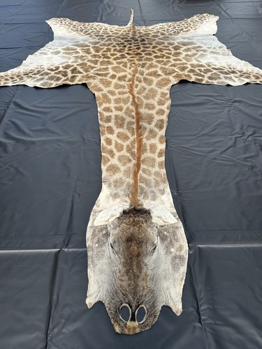 Echtes giraffenfell aus - echtes,