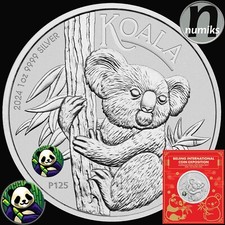 KOALA 2024 Panda Privy Pekin