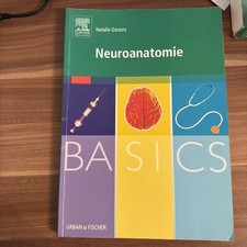 BASICS Neuroanatomie