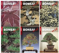 Bonsai Art - Jahrgang 2006 - Nr. 75 bis 80 - Zeitschrift - gelesen