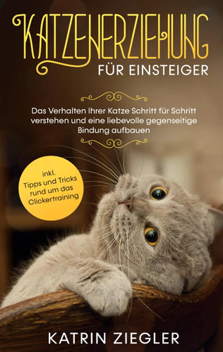 Katzenerziehung für