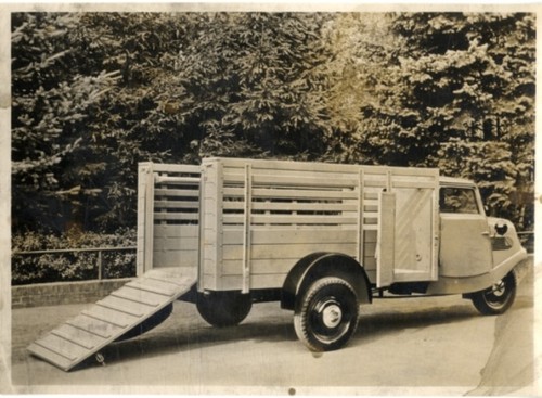 Foto fahrzeug firma - fahrzeug,
