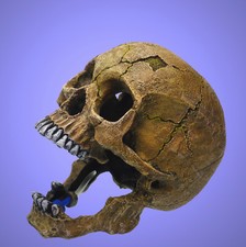 Aquarium deko 20cm - 20cm, ❤️