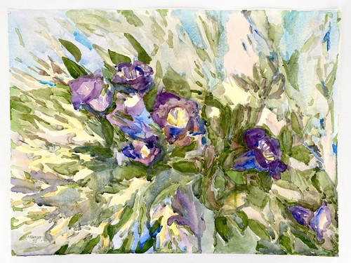 Aquarell expressiv - *,