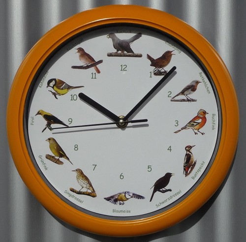 Vogel uhr mit deutschen - uhr,